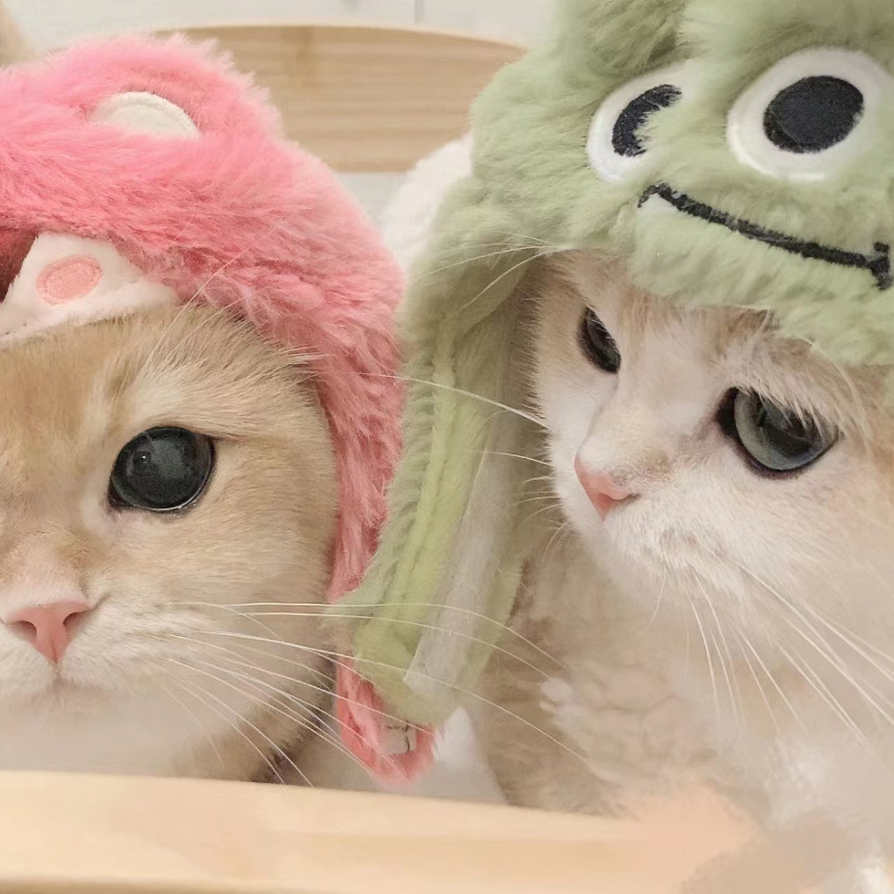 看片软件APP应用