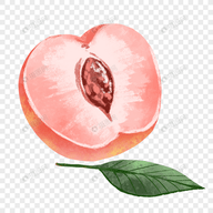 WWW,se798·COM网站APPAPP应用