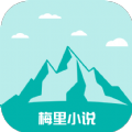 暴躁少女CSGO视频播放APP应用