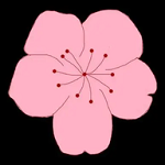 WWW,se725·COM网站APPAPP应用